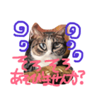 愛しのりぴたんとりおたん♡（個別スタンプ：1）