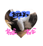 愛しのりぴたんとりおたん♡（個別スタンプ：5）