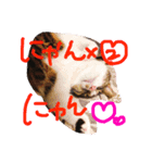 愛しのりぴたんとりおたん♡（個別スタンプ：7）