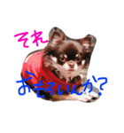 愛しのりぴたんとりおたん♡（個別スタンプ：8）