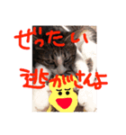 愛しのりぴたんとりおたん♡（個別スタンプ：9）