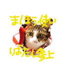 愛しのりぴたんとりおたん♡（個別スタンプ：13）