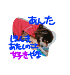 愛しのりぴたんとりおたん♡（個別スタンプ：14）