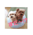 お初スタンプです❗（個別スタンプ：3）