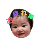 ぜん坊のあいさつ（個別スタンプ：31）