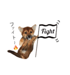 柴犬コータ、第2弾！（個別スタンプ：23）