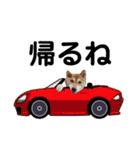 柴犬コータ、第2弾！（個別スタンプ：29）