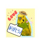 ☆第二弾☆かわいいセキセイインコ（個別スタンプ：2）