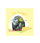 ☆第二弾☆かわいいセキセイインコ（個別スタンプ：6）