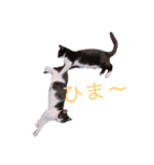HITOMIのぐりとぐら。（個別スタンプ：1）