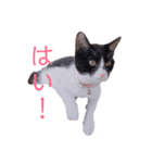 HITOMIのぐりとぐら。（個別スタンプ：3）