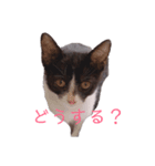 HITOMIのぐりとぐら。（個別スタンプ：5）