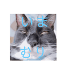HITOMIのぐりとぐら。（個別スタンプ：6）