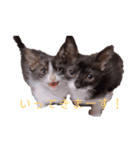 HITOMIのぐりとぐら。（個別スタンプ：7）