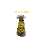 リーセラ1（個別スタンプ：8）