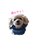 リーセラ1（個別スタンプ：10）