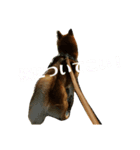 ごんち（個別スタンプ：6）