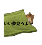 ごんち（個別スタンプ：7）