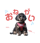 くりすたんぷ(2)（個別スタンプ：4）