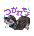 くりすたんぷ(2)（個別スタンプ：13）