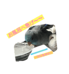インコ:マメルリハのうにちゃん@3（個別スタンプ：7）