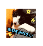 ショコラにゃん（個別スタンプ：14）