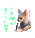 OhanaとPoloのスタンプ（個別スタンプ：5）