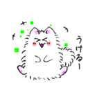 もふもふネコ（個別スタンプ：1）