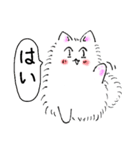 もふもふネコ（個別スタンプ：5）