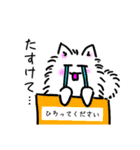 もふもふネコ（個別スタンプ：40）