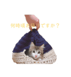 くわちゃんスタンプ①（個別スタンプ：9）