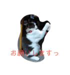 cafe.late.D2（個別スタンプ：3）