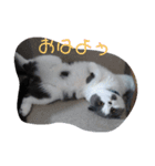 cafe.late.D2（個別スタンプ：5）