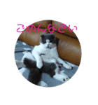 cafe.late.D2（個別スタンプ：7）