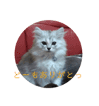 cafe.late.D2（個別スタンプ：8）