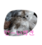 cafe.late.D2（個別スタンプ：10）