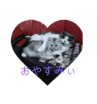 cafe.late.D2（個別スタンプ：11）