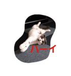 cafe.late.D2（個別スタンプ：12）