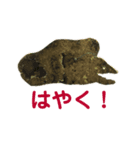可愛いメタルいきものスタンプ（個別スタンプ：5）