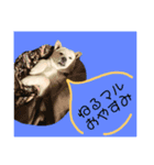 犬にも感情があるのだ！（個別スタンプ：2）