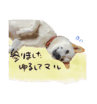犬にも感情があるのだ！（個別スタンプ：4）