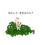 犬にも感情があるのだ！（個別スタンプ：7）