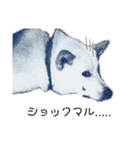 犬にも感情があるのだ！（個別スタンプ：10）