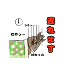 北の馬たち『〜北海道方言〜』（個別スタンプ：5）