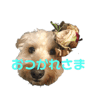 ダップー犬ペニーの日常（個別スタンプ：3）