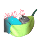 ダップー犬ペニーの日常（個別スタンプ：9）