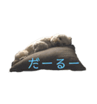 ダップー犬ペニーの日常（個別スタンプ：17）