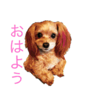 れもぽんのスタンプ（個別スタンプ：1）