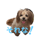 れもぽんのスタンプ（個別スタンプ：3）