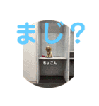 れもぽんのスタンプ（個別スタンプ：4）